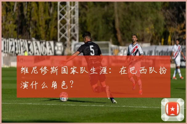 维尼修斯国家队生涯：在巴西队扮演什么角色？